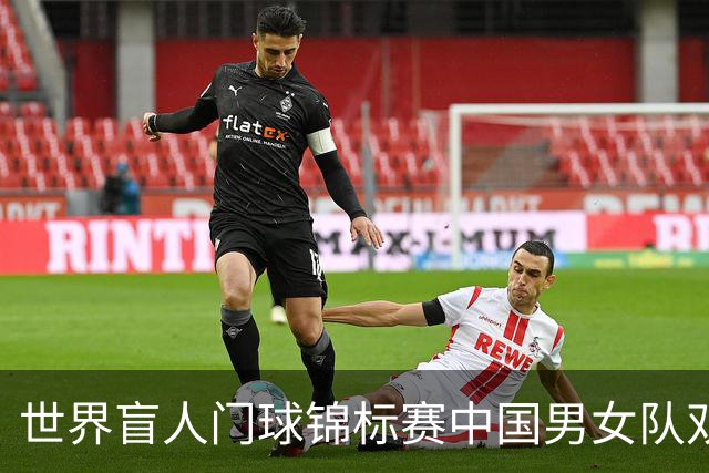 世界盲人门球锦标赛中国男女队双双夺冠